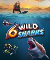 6 Wild Sharks