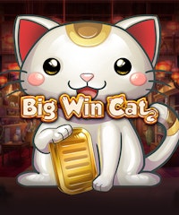 Big Win Cat