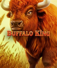 Buffalo King