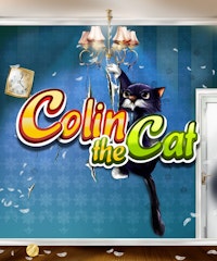 Colin the Cat