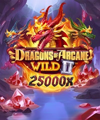 Dragons of Arcane Wild II