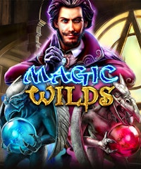 Magic Wilds