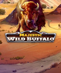 Majestic Wild Buffalo