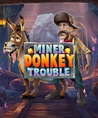 Miner Donkey Trouble