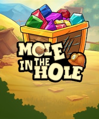 Mole In The Hole