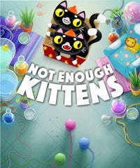 Not Enough Kittens