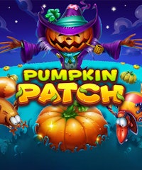 Pumpkin Patch
