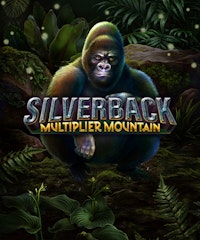 Silverback Multiplier Mountain