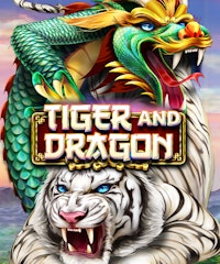 Tiger and Dragon