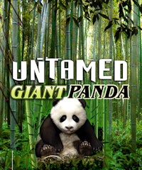 Untamed - Giant Panda