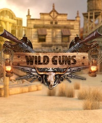 Wild Guns