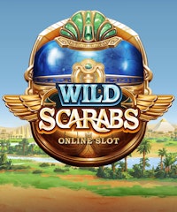 Wild Scarabs
