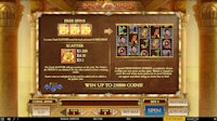 Book of Dead slot bonus screen showing free spins rules