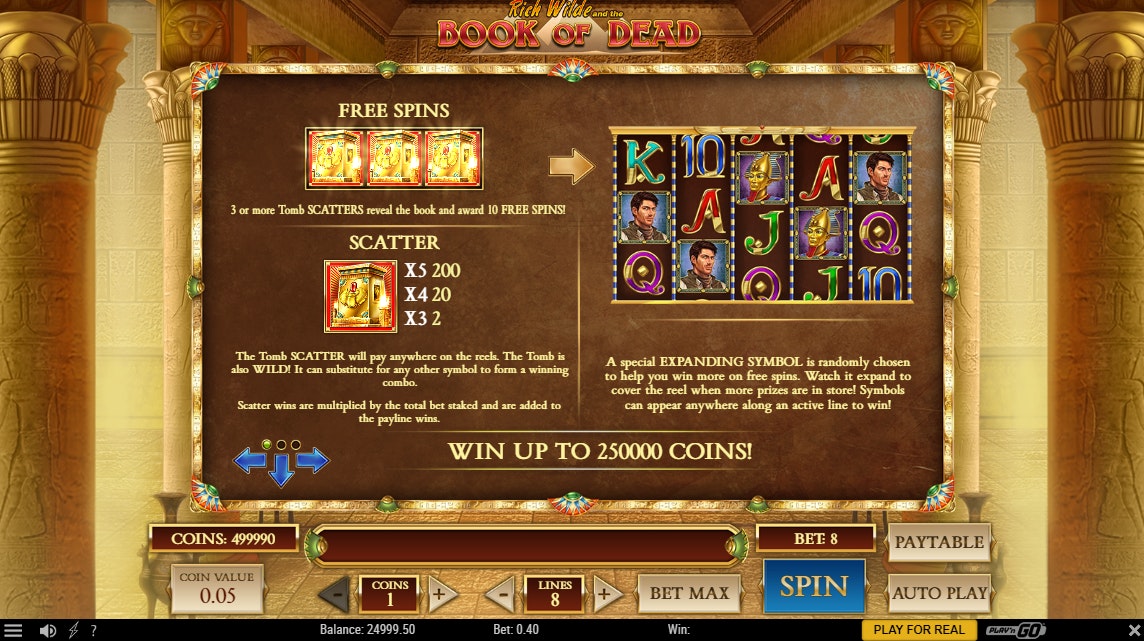 Book of Dead slot bonus screen showing free spins rules Book of Dead slot bonus screen showing free spins rules