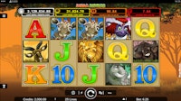 Mega Moolah online slot with 5 reels