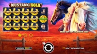  Mustang Gold Slot  interface