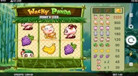 Wacky Panda gameplay with bananas, grapes, and animated panda cubs on bamboo reels.